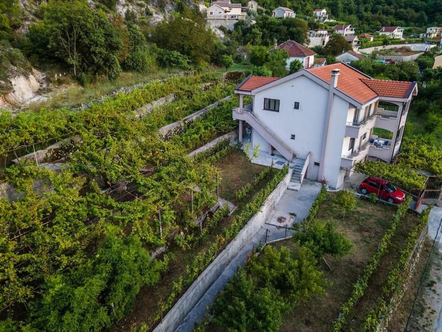 Villa Pavle'S Oasis à Virpazar Extérieur photo