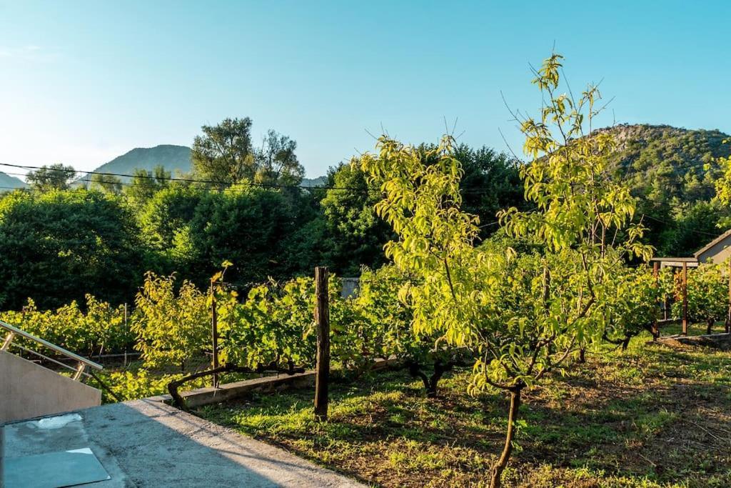 Villa Pavle'S Oasis à Virpazar Extérieur photo