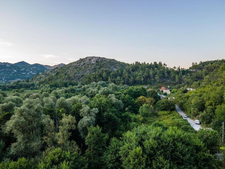 Villa Pavle'S Oasis à Virpazar Extérieur photo
