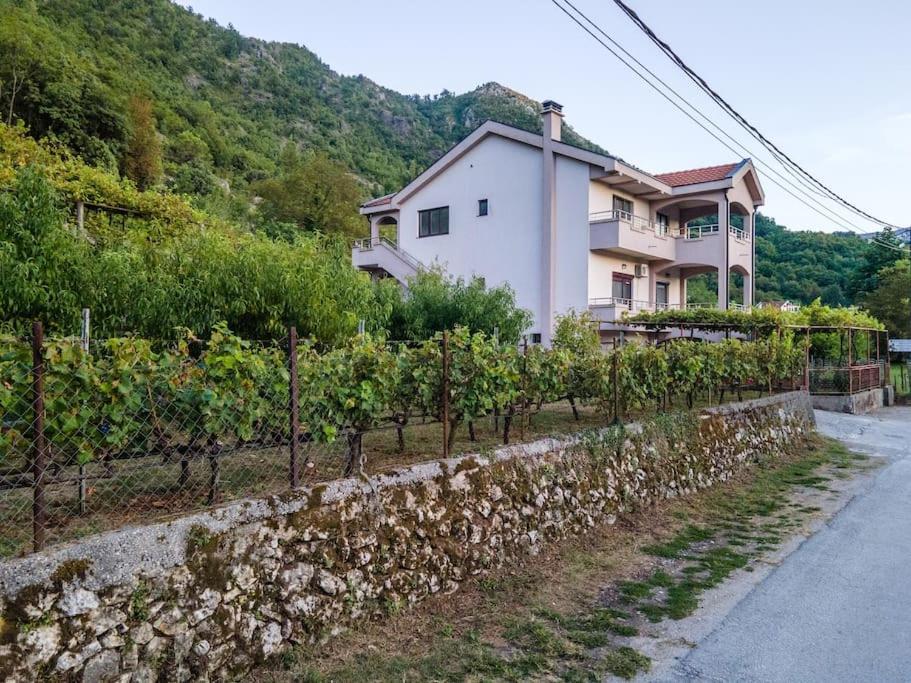 Villa Pavle'S Oasis à Virpazar Extérieur photo